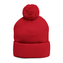 Load image into Gallery viewer, Nellie Fly Pom-Pom Knitted hat