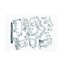 Load image into Gallery viewer, Allegheny County Creatures Postcard