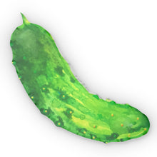 Load image into Gallery viewer, PICKLE Pillow